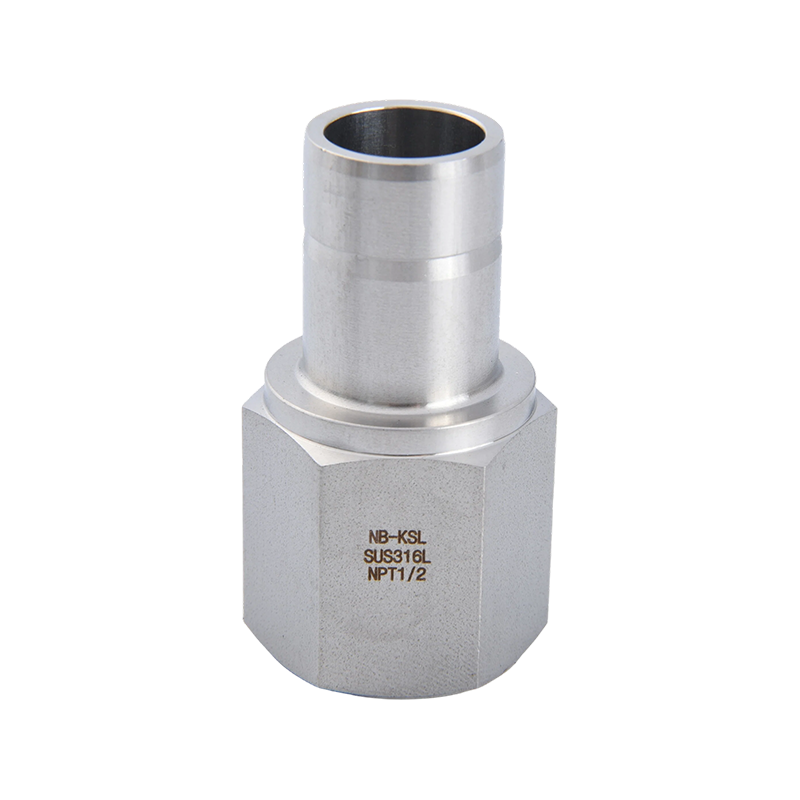 316L Steel Pipe ad Pipe Internum Thread adaptor